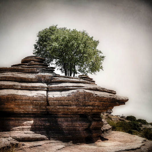 Stone formations with tree at El Torcal