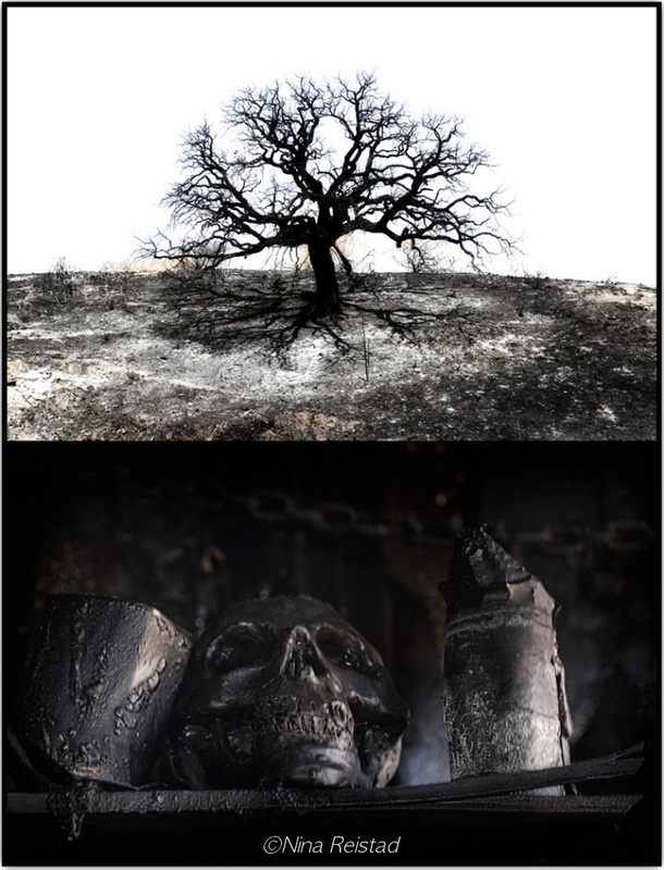 Burned tree and skull